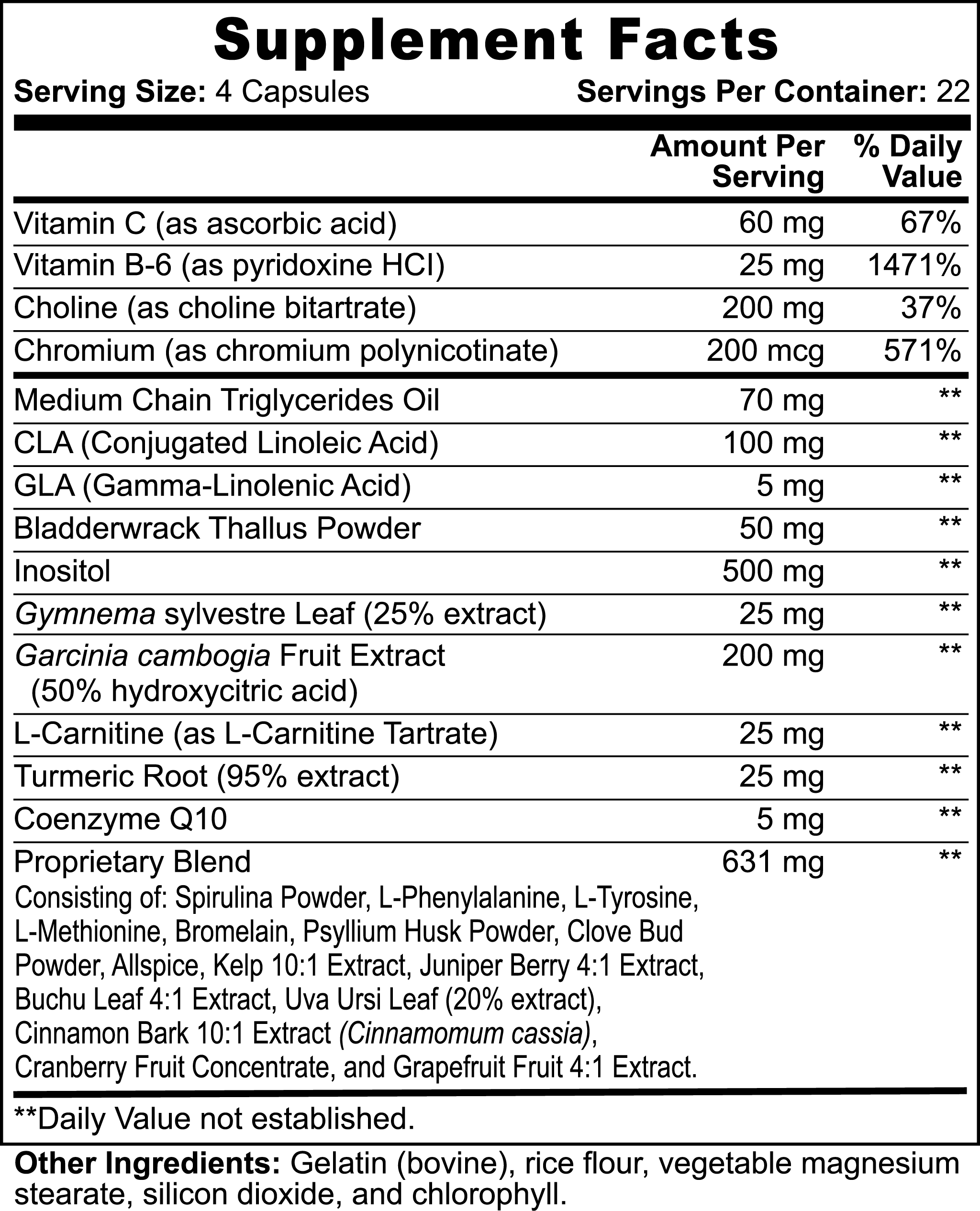 OzemFit Fat Burner